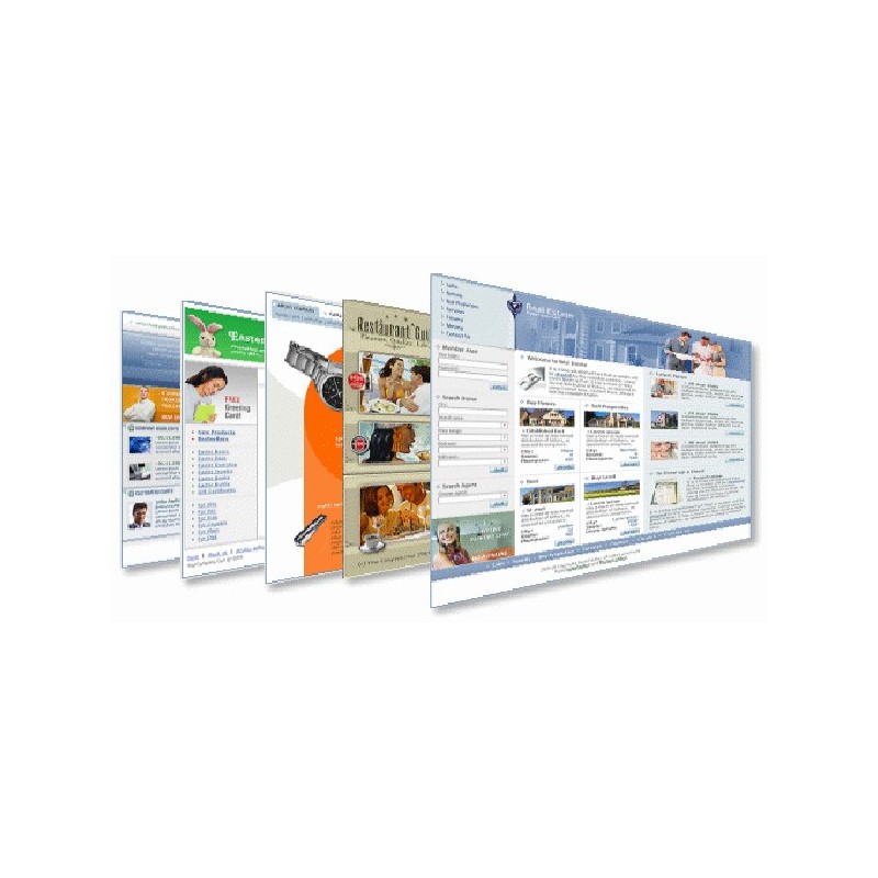 dynamic website in Toronto dynamic website in Toronto