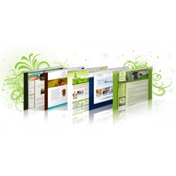 10 or More Dynamic Pages Website in toronto