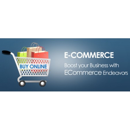 E Commerce website designing with unlimited products