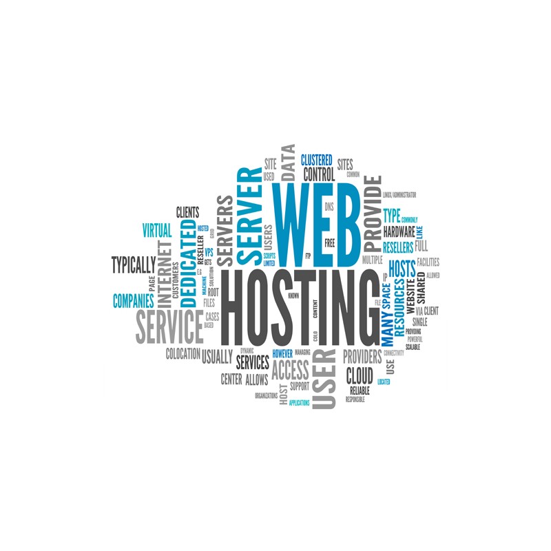 Website Hosting